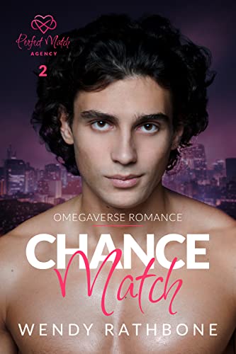 Perfect Match Agency book cover 1