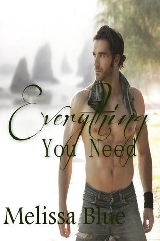 Palmer Island book cover 1