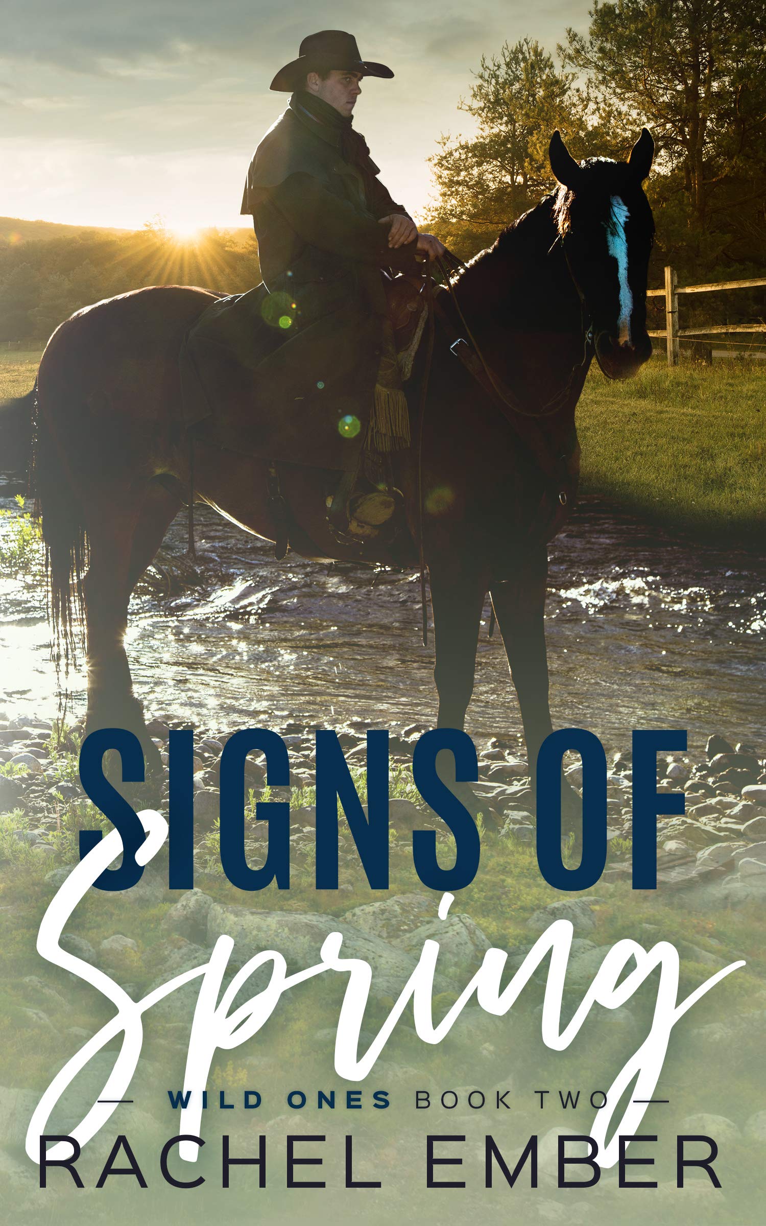 Wild Ones book cover 2