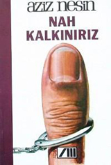 We Will Rise Again book cover