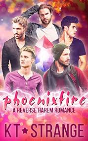 Phoenixfire book cover