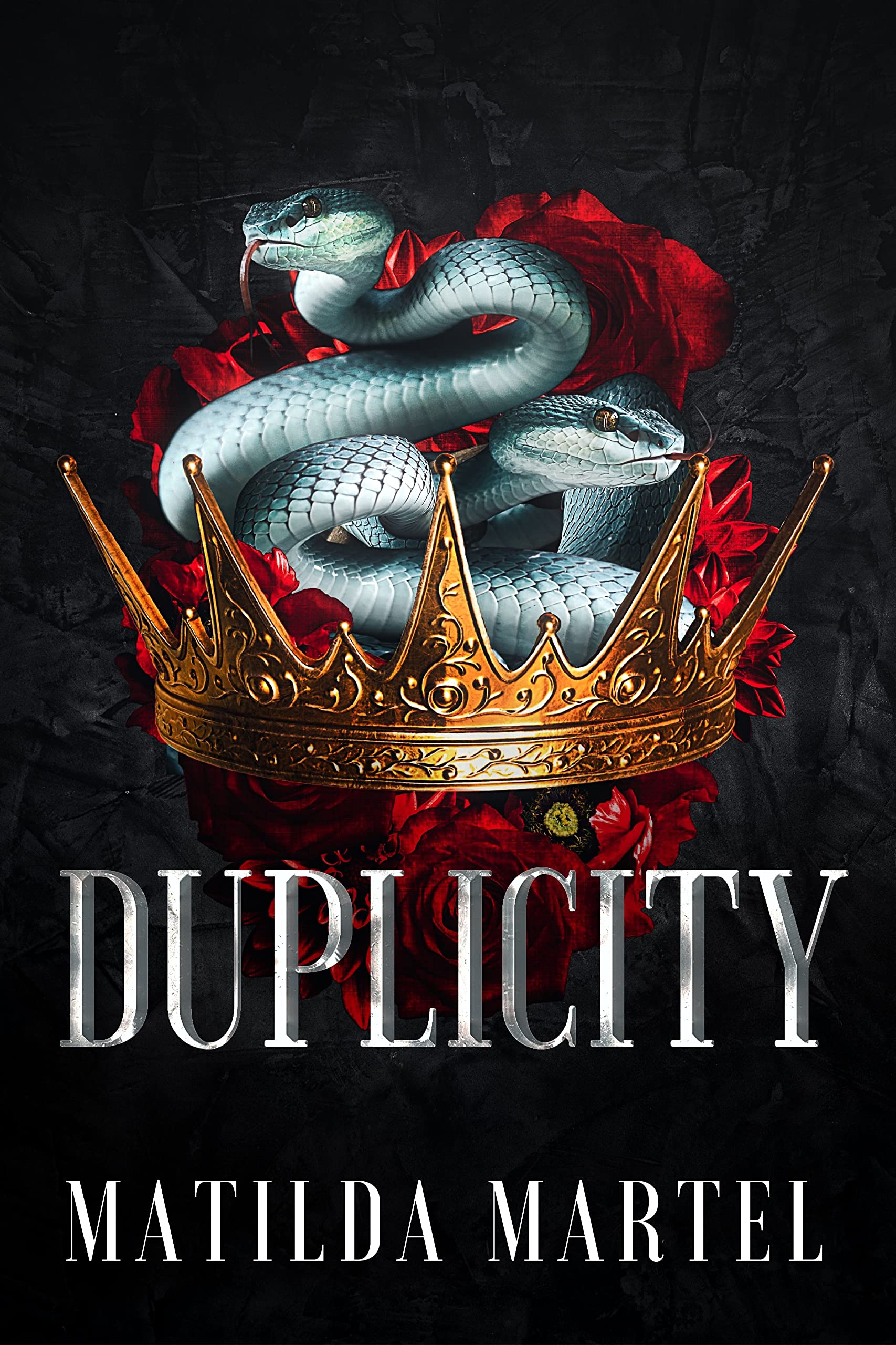 Duplicity book cover