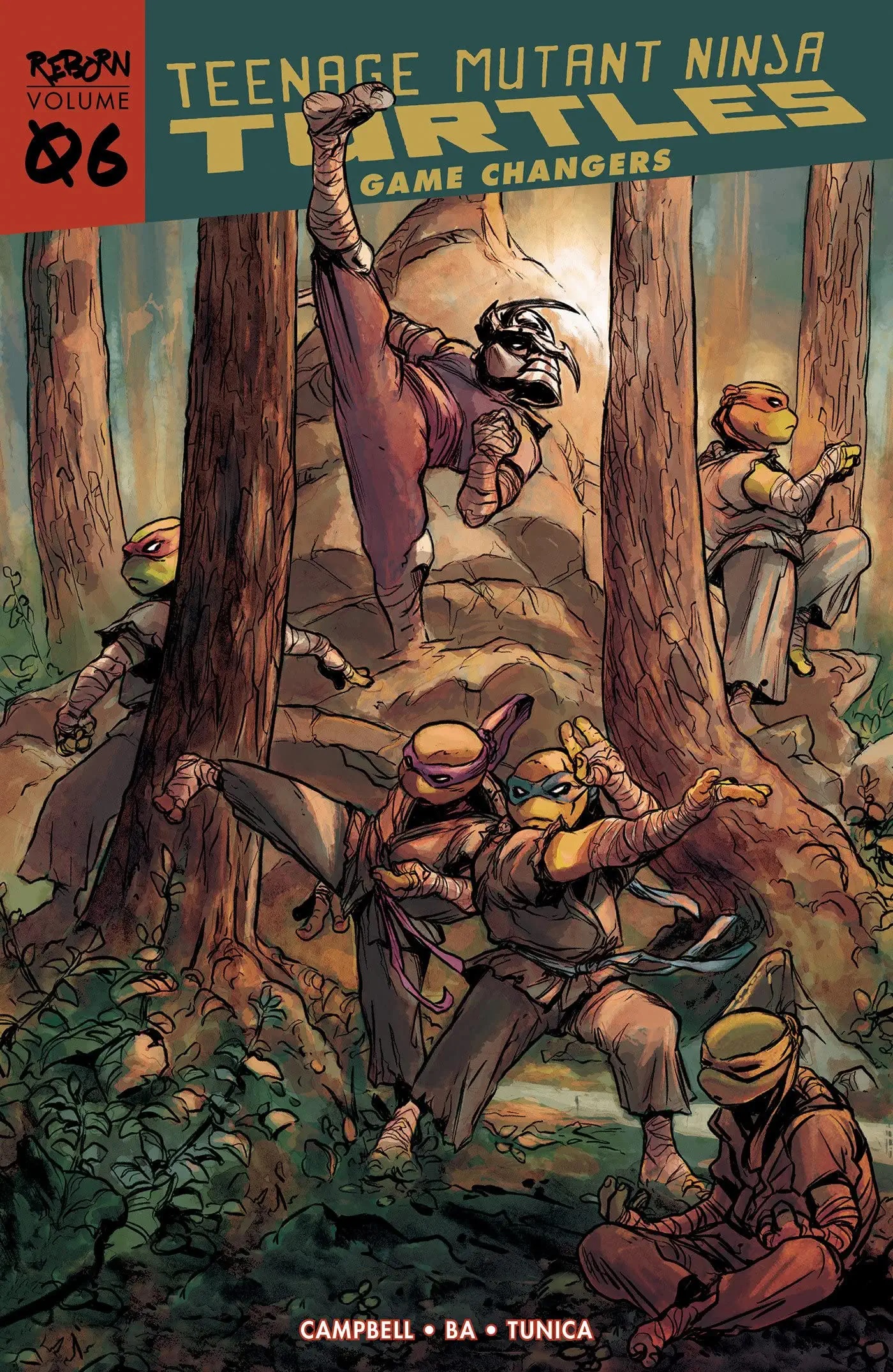 Teenage Mutant Ninja Turtles book cover