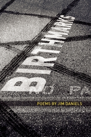 Birth Marks book cover
