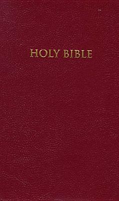 Holy Bible book cover