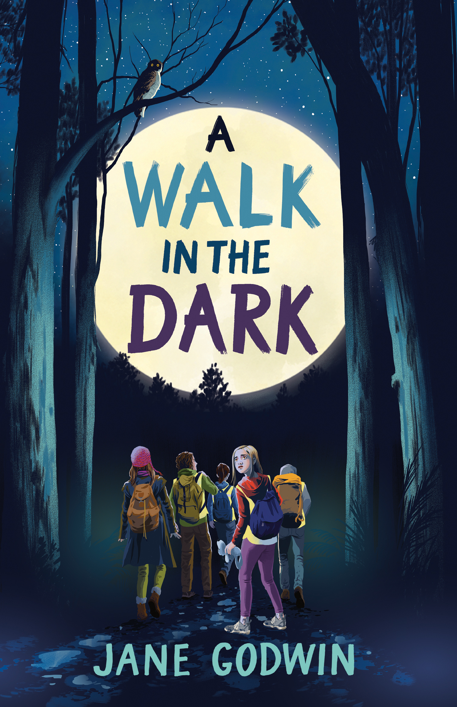 A Walk in the Dark book cover