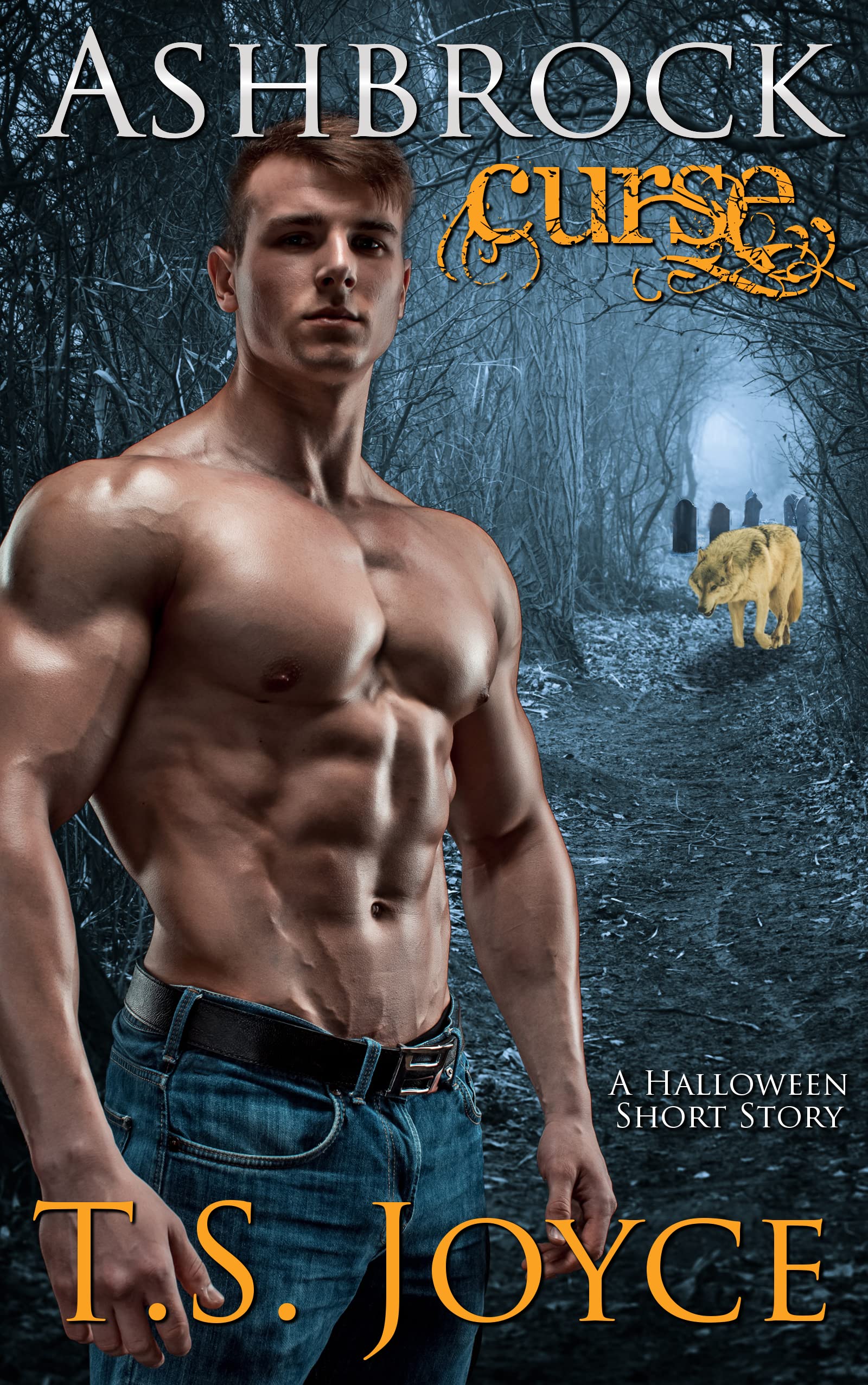 Ashbrock Curse book cover