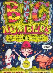 Big Numbers book cover