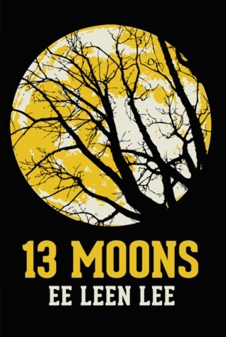 13 MOONS book cover