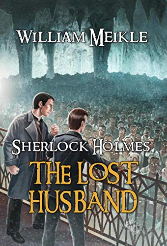The Lost Husband book cover