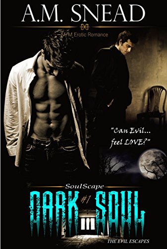 Soulscape book cover 1