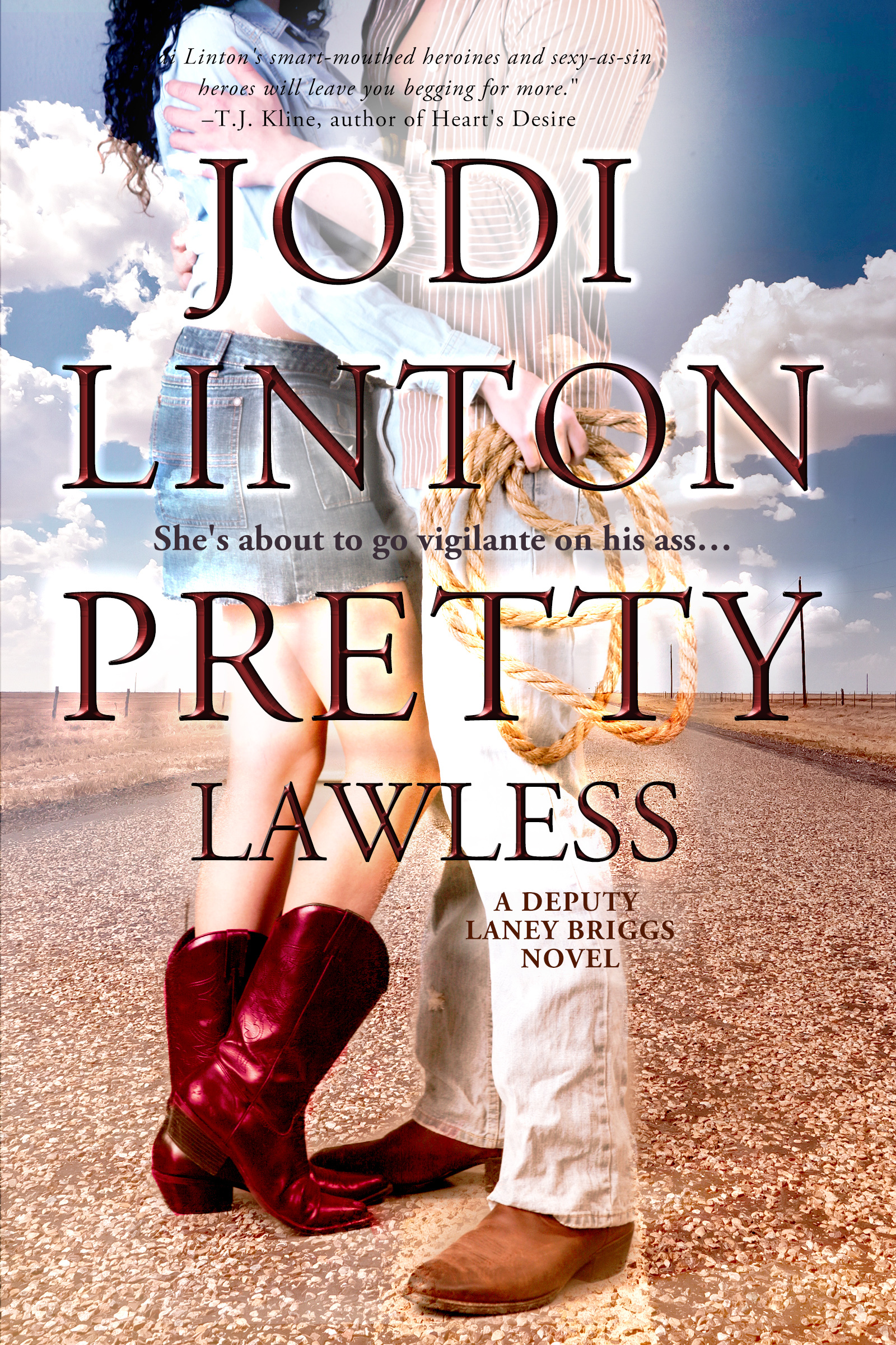Deputy Laney Briggs book cover 3