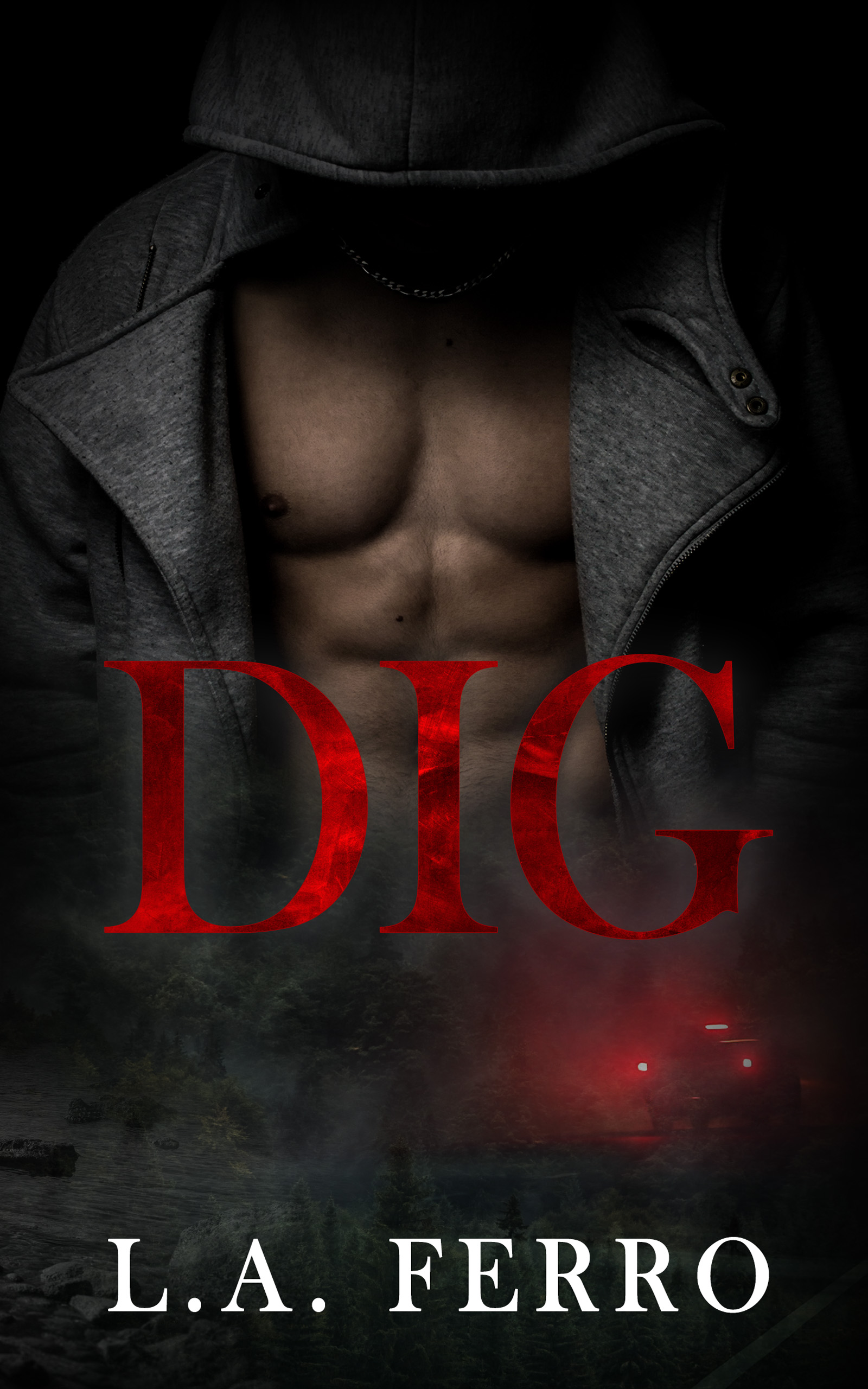 Dig book cover