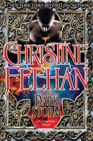 Dark Storm book cover