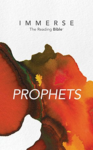 Immerse book cover
