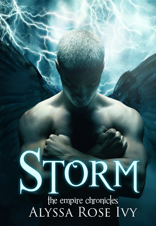 Storm book cover