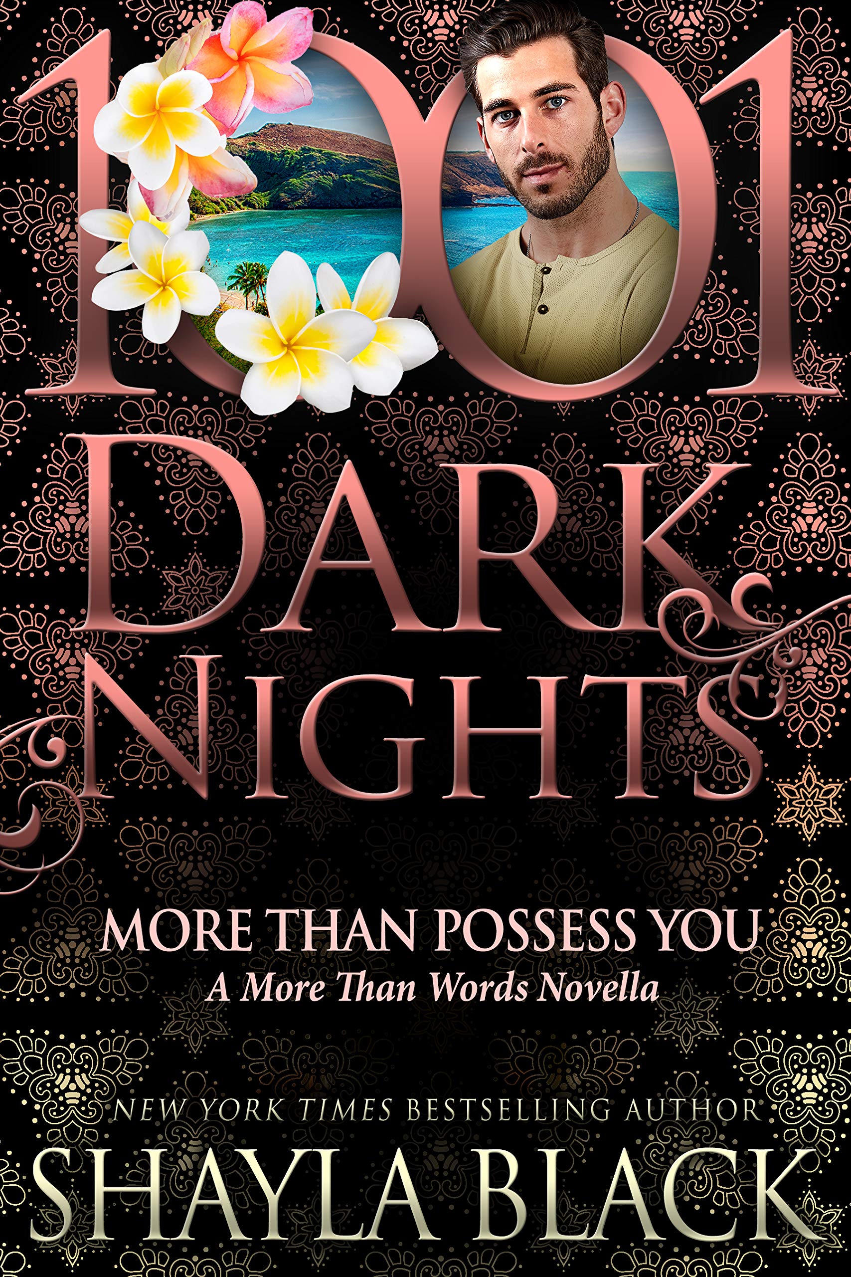More Than Possess You book cover