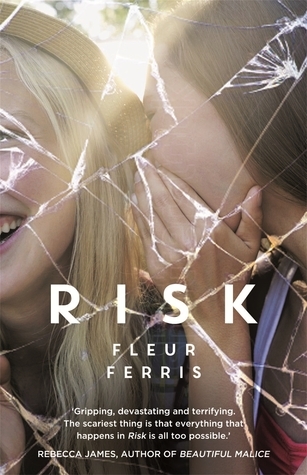 Risk book cover