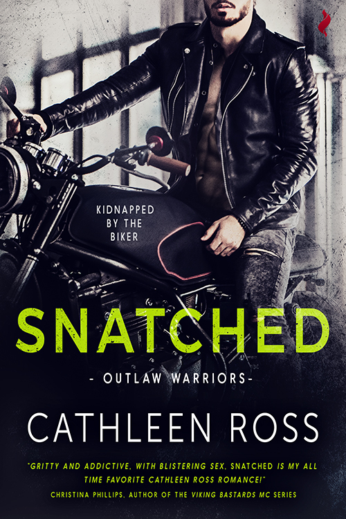 Snatched book cover