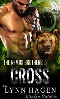 Cross book cover