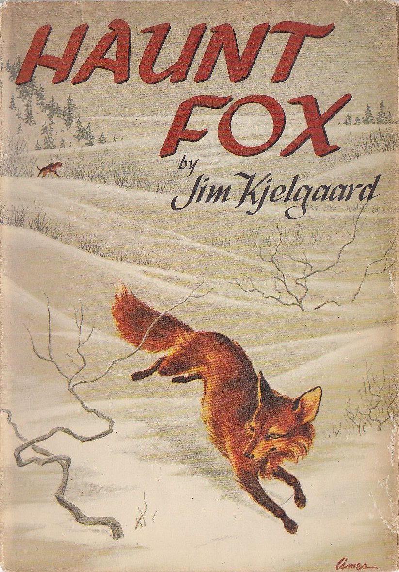 Haunt Fox book cover