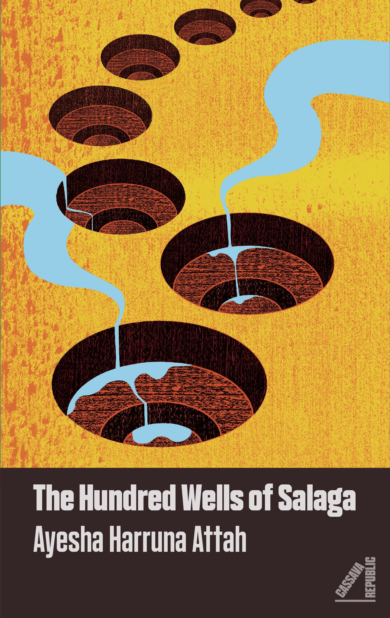 The Hundred Wells of Salaga book cover