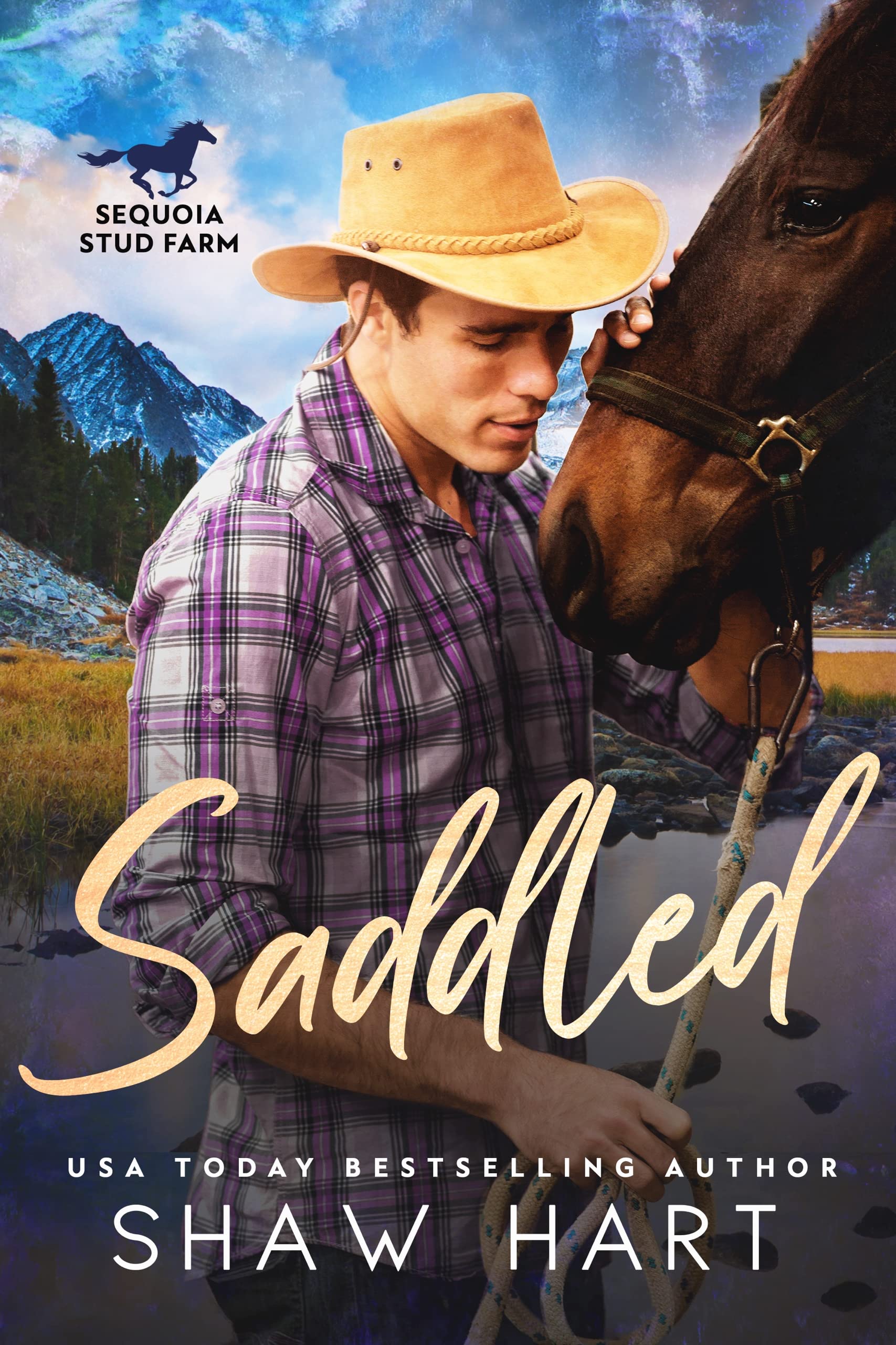 Saddled book cover