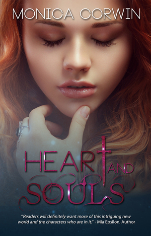 The Soul Program book cover 1