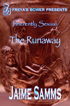 The Runaway book cover