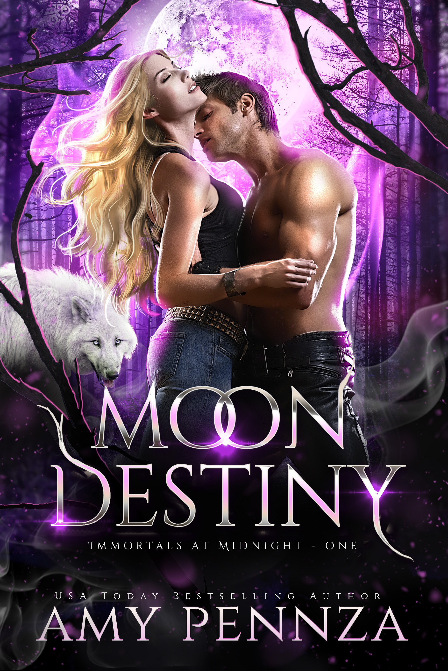 Moon Destiny book cover