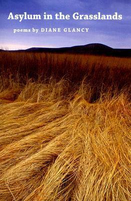 Asylum in the Grasslands book cover