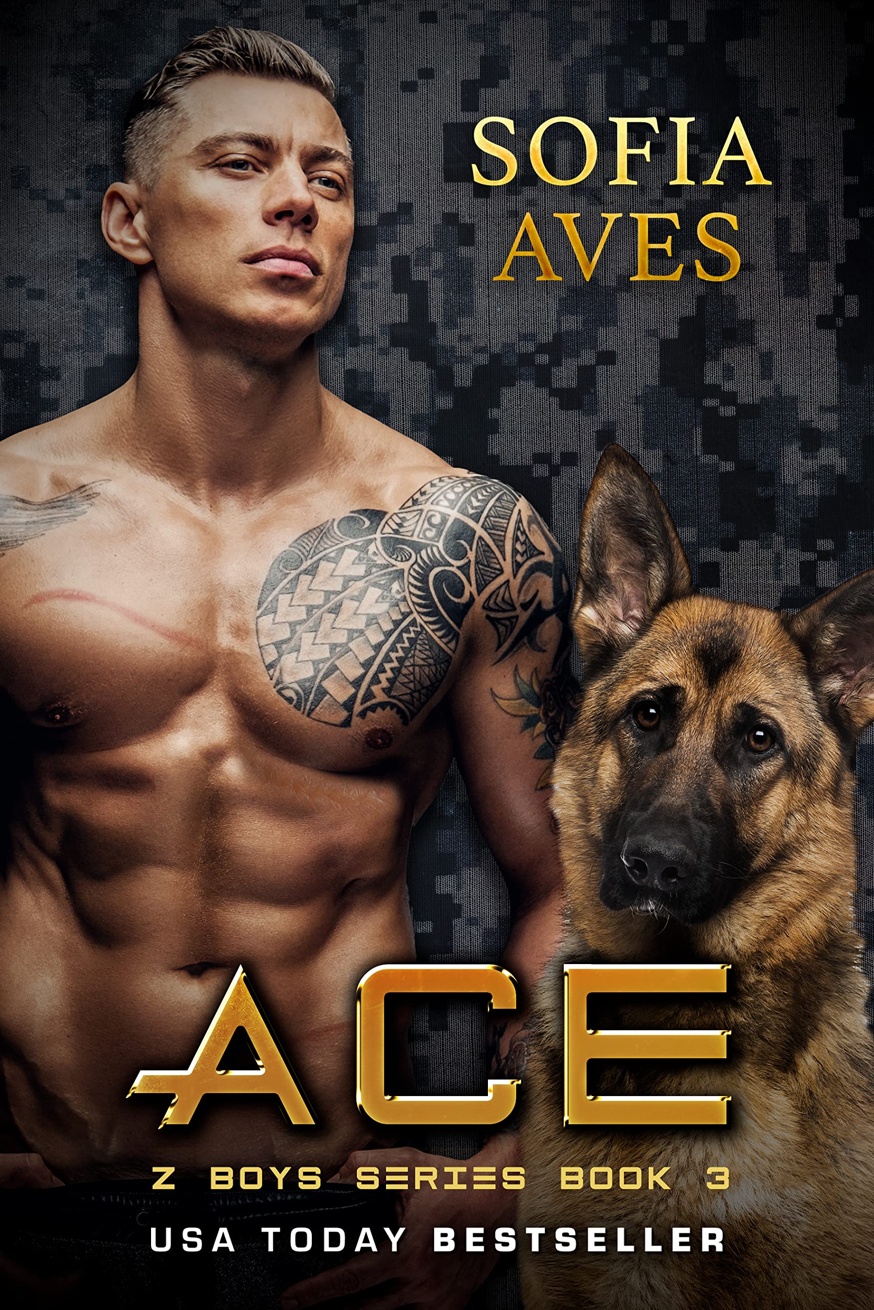 Ace book cover