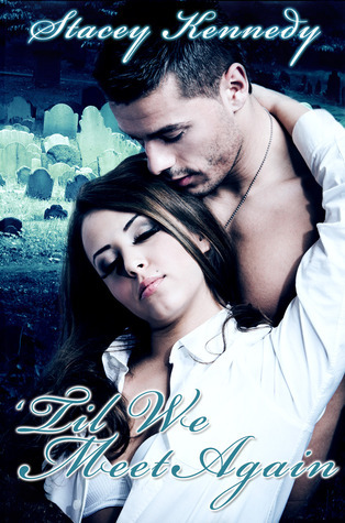 'Til We Meet Again book cover
