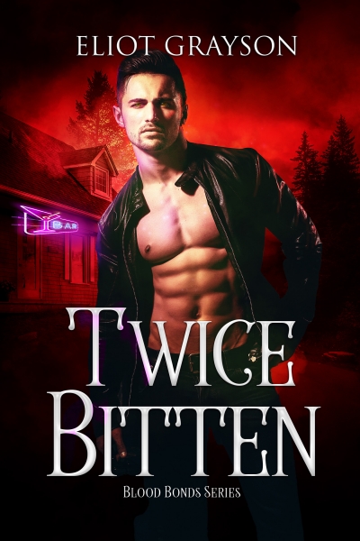 Blood Bonds book cover 2