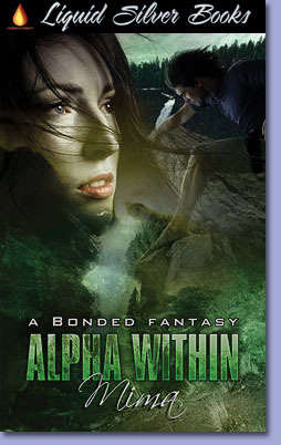 Bonded Fantasy book cover 3