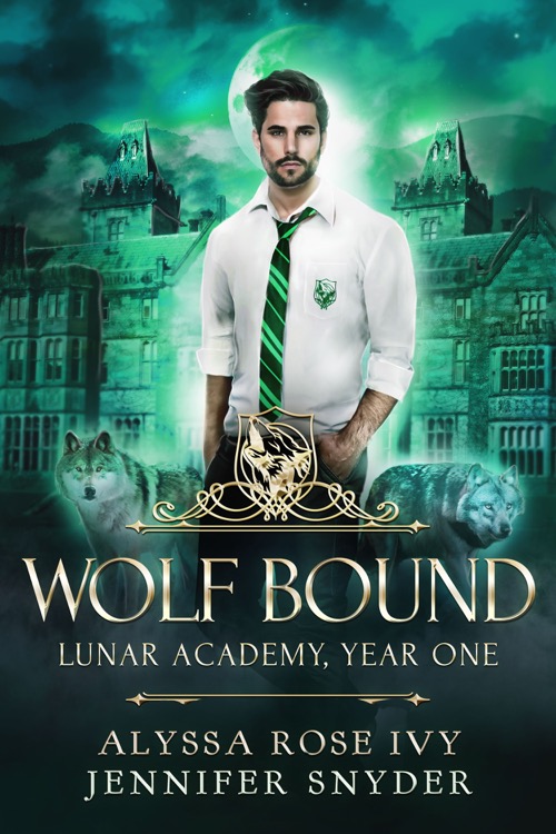Lunar Academy book cover 3