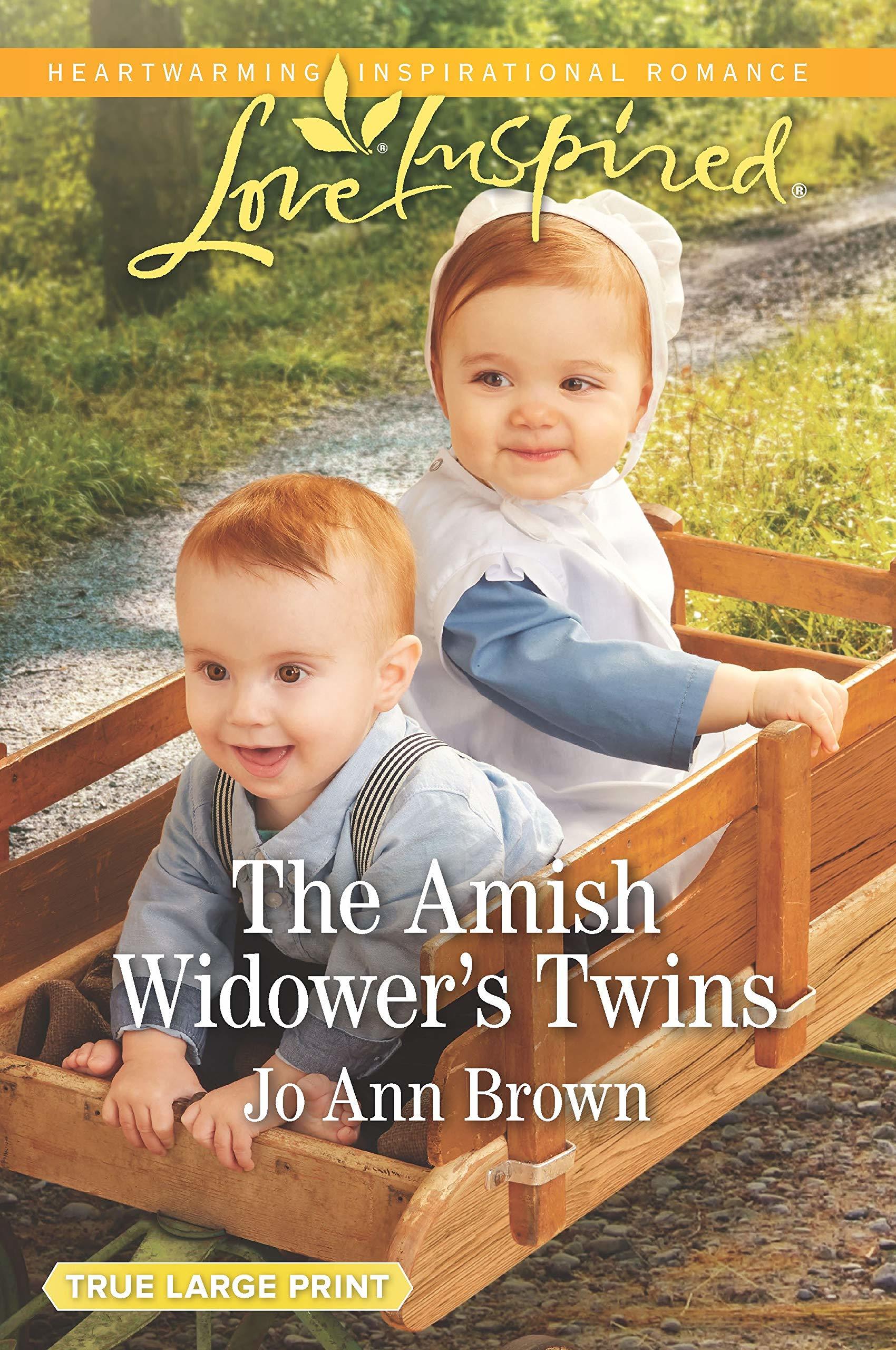 The Amish Widower's Twins book cover