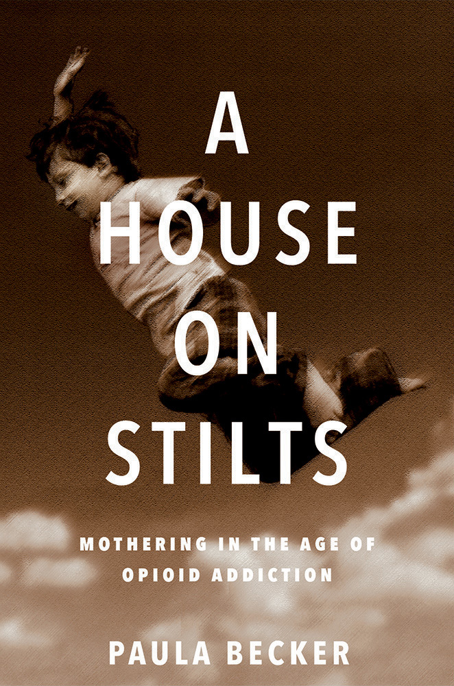 A House on Stilts book cover