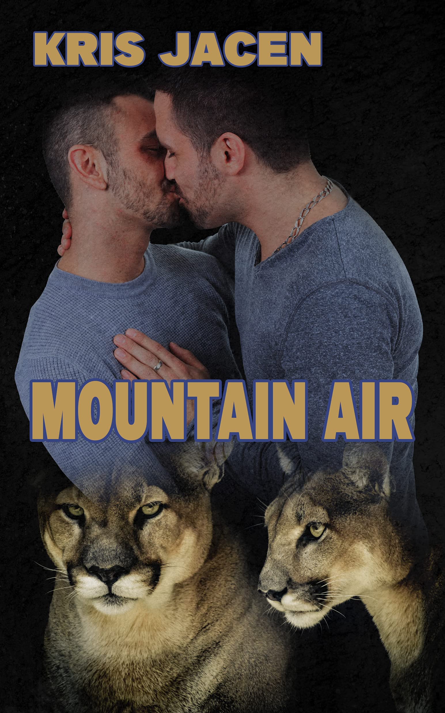Mountain Air book cover