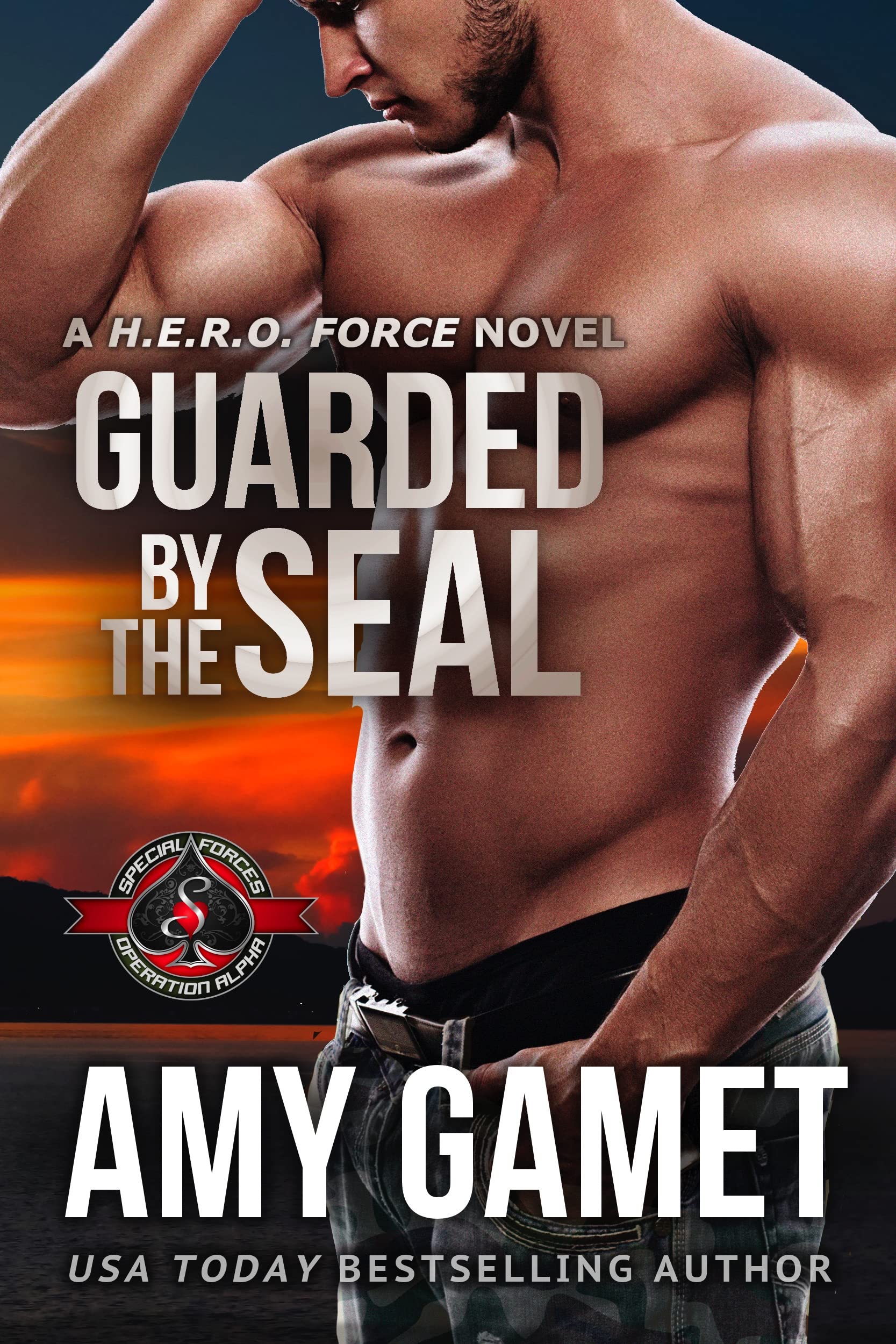 Guarded by the SEAL book cover