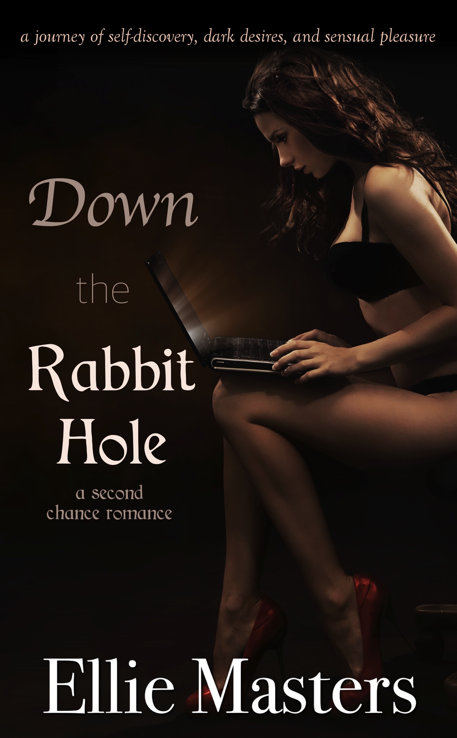 Down The Rabbit Hole book cover