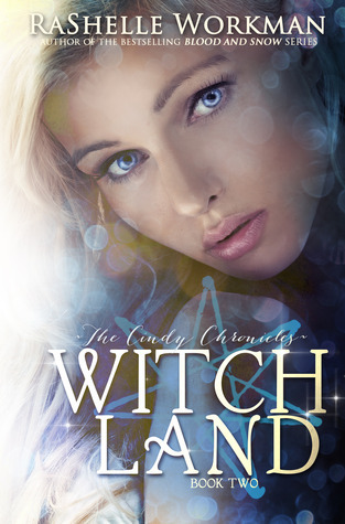 The Cindy Chronicles book cover 2