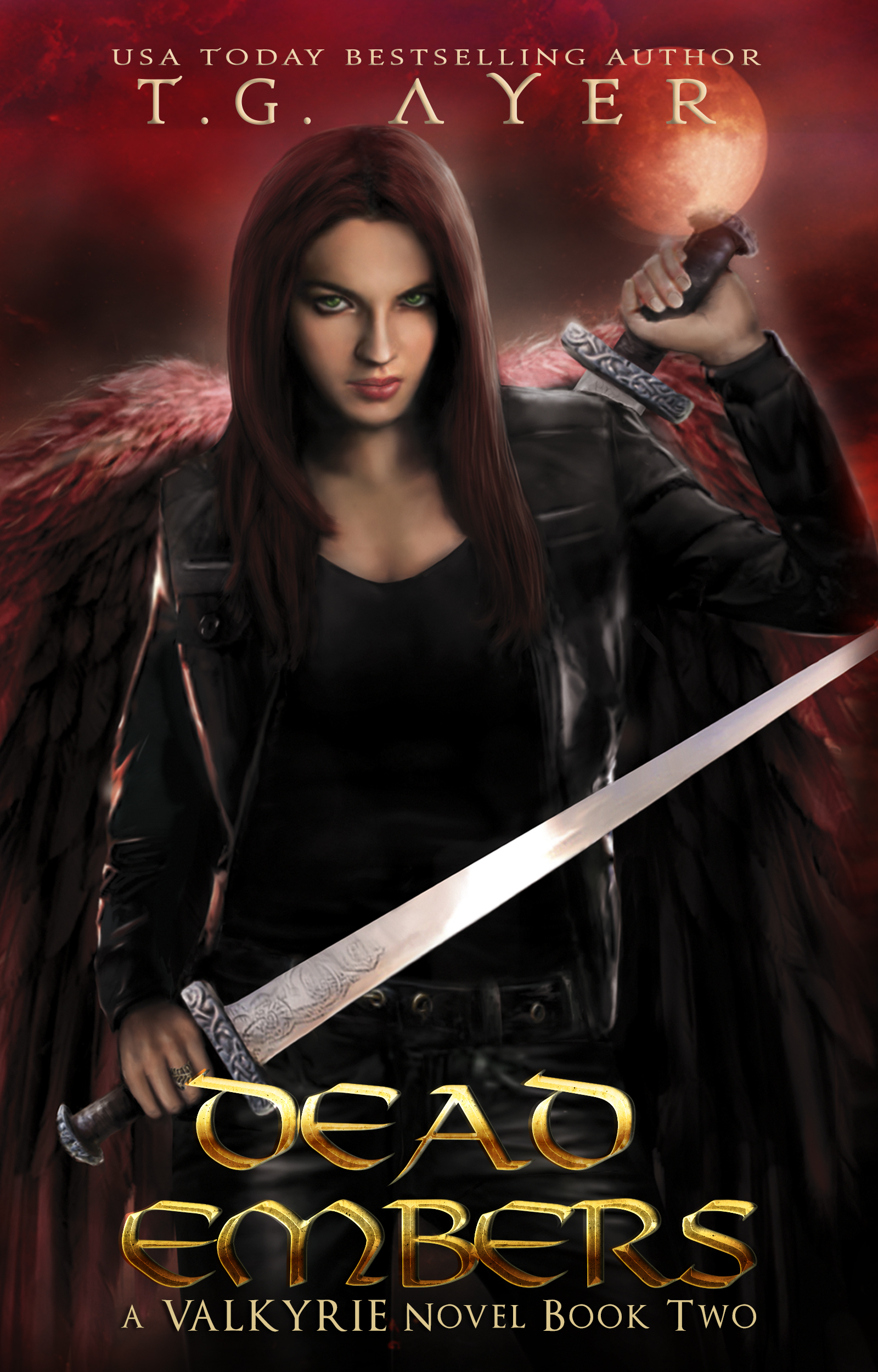 Valkyrie book cover 2