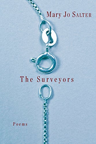 The Surveyors book cover