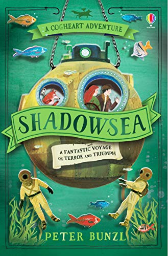 Shadowsea book cover