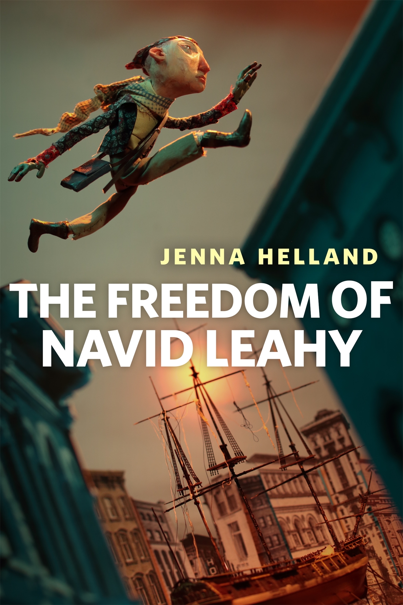 The Freedom of Navid Leahy book cover