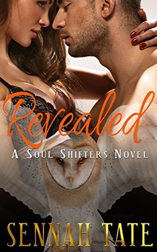 Soul Shifters book cover 2
