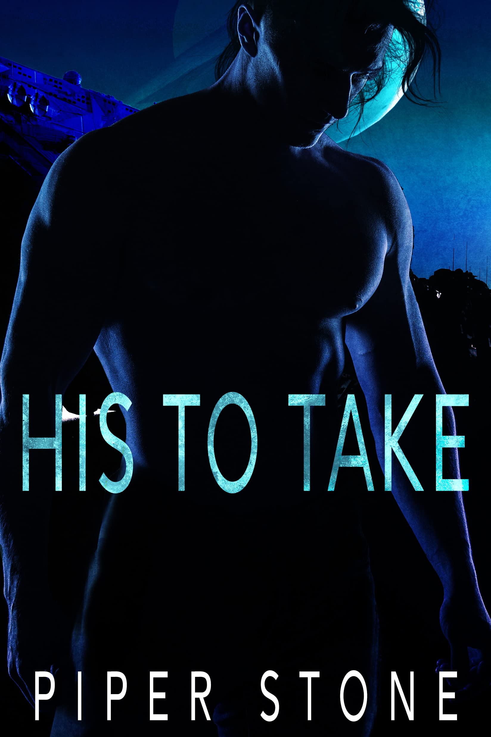 His to Take book cover