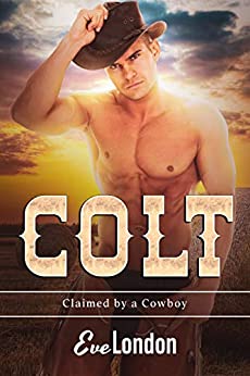 Claimed by a Cowboy book cover 2