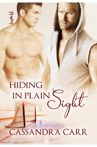 Safe Harbor book cover 2
